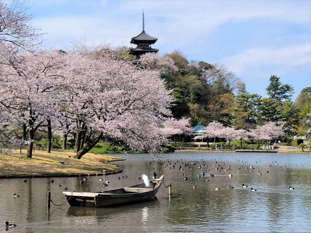 三溪園【横浜市】